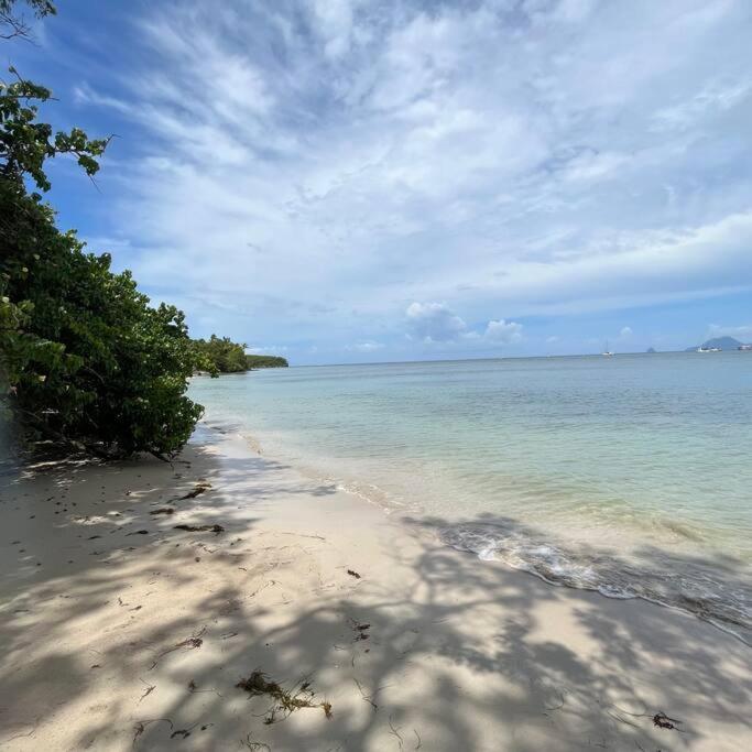 Studio La «Kaz' A Coco» Anse Caritan Sainte-Anne Bagian luar foto