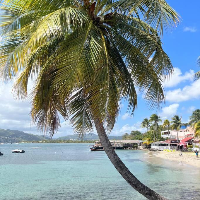 Studio La «Kaz' A Coco» Anse Caritan Sainte-Anne Bagian luar foto