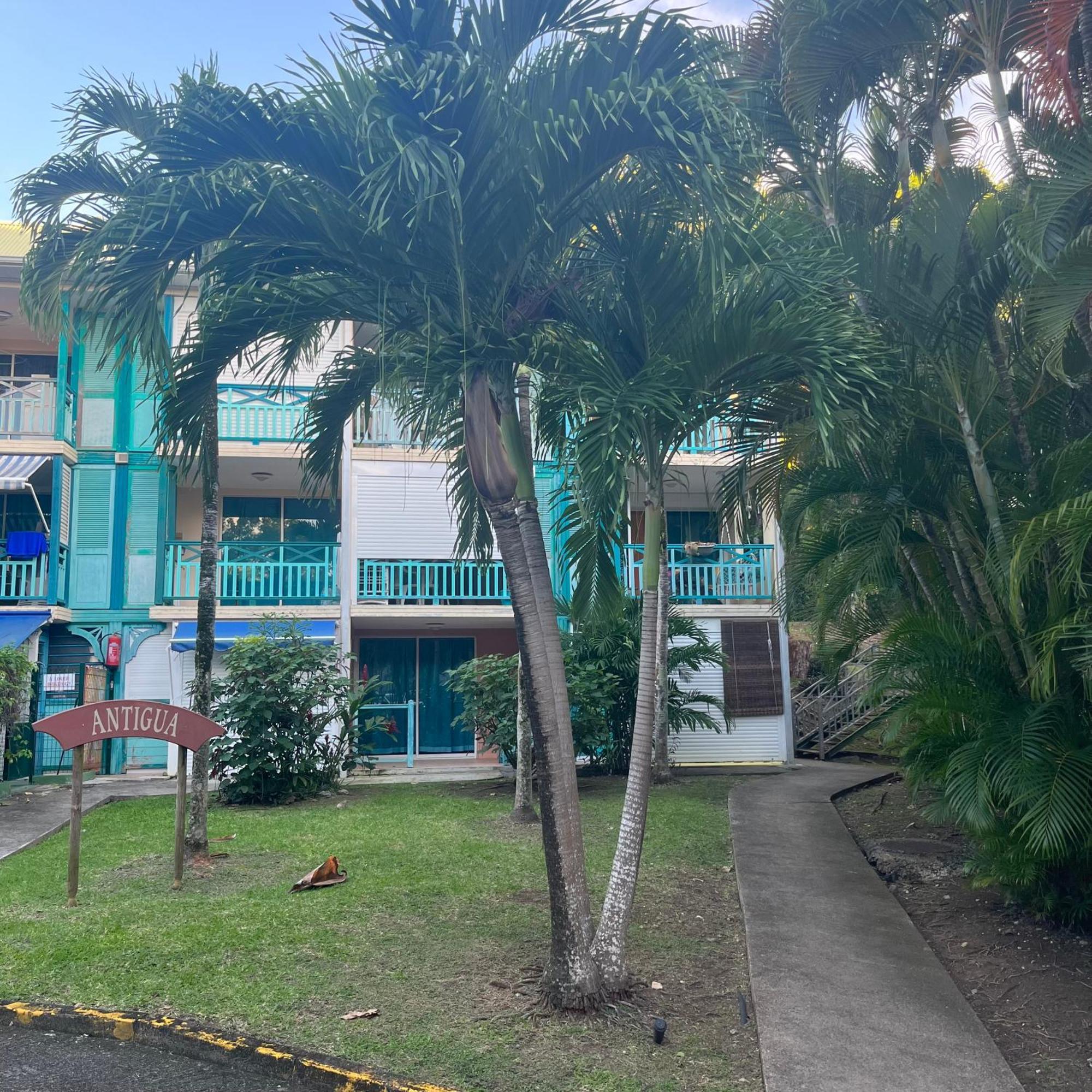 Studio La «Kaz' A Coco» Anse Caritan Sainte-Anne Bagian luar foto
